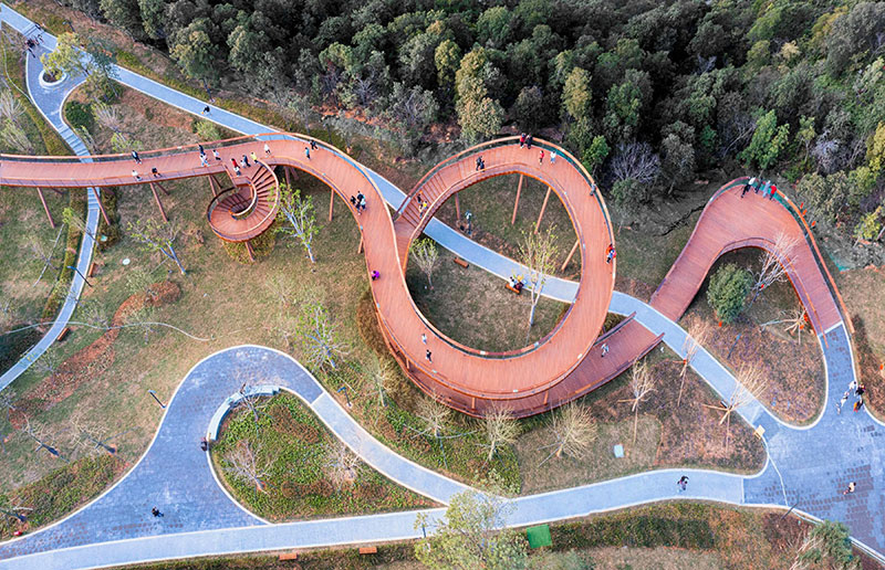 嶂背郊野公園竹木棧道