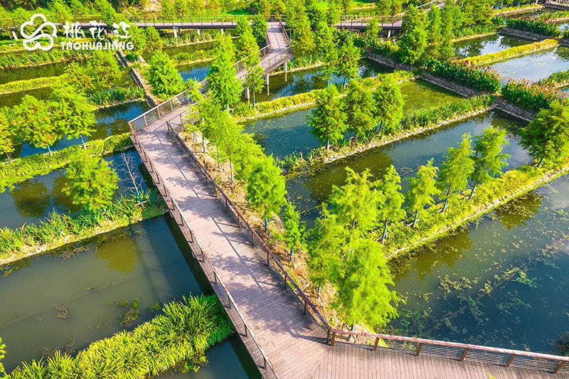 沙河濕地公園竹木步道