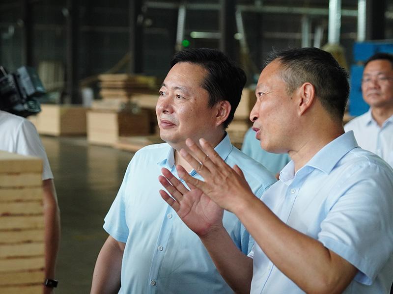 桃花江竹材董事長正在向熊市長匯報 桃花江竹材董事長正在向熊市長匯報