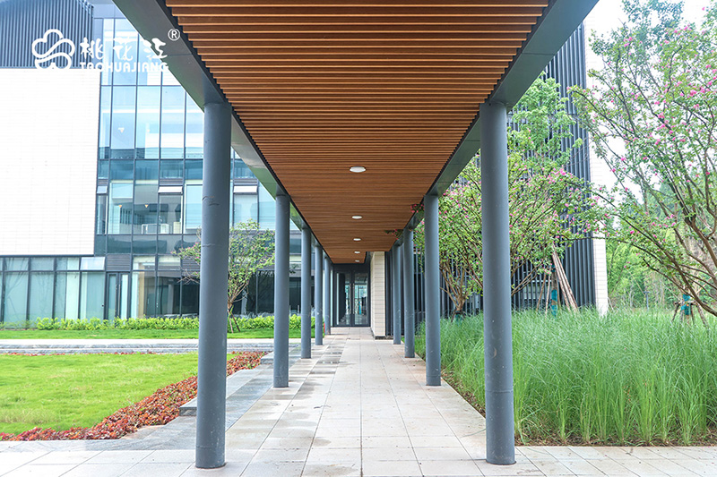 天府國際藝術(shù)城