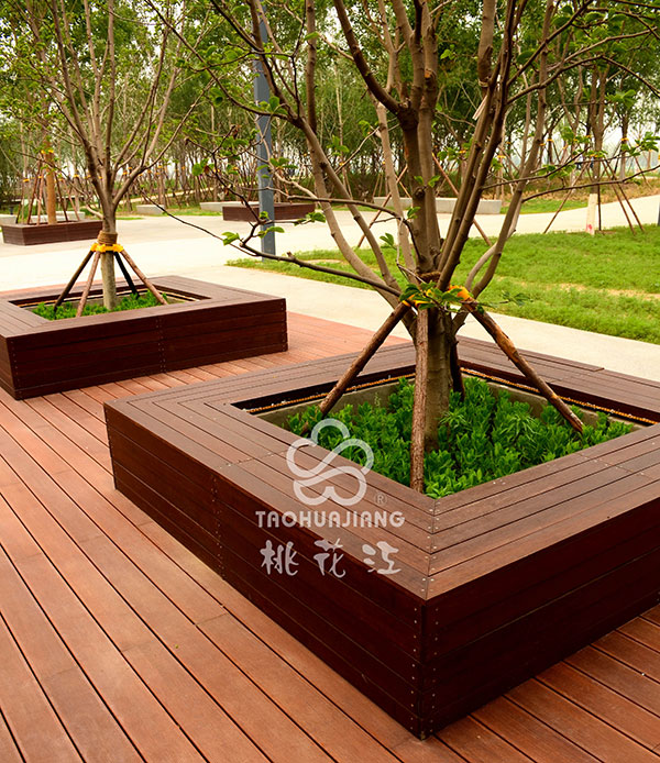 竹木圍樹坐凳，竹樹圍